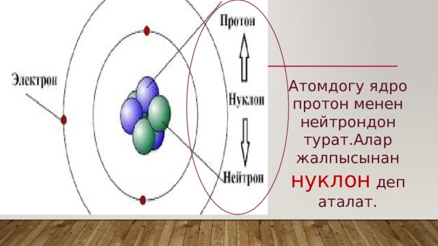 Атомдогу ядро протон менен нейтрондон турат.Алар жалпысынан нуклон деп аталат. 