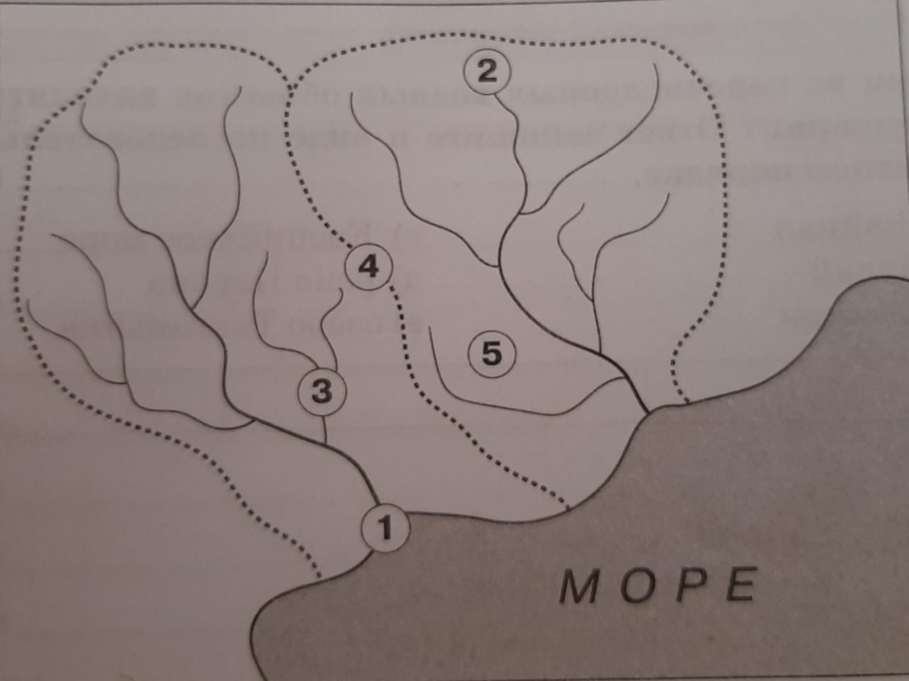 Выполните рисунок речная система на рисунке подпишите элементы речной системы