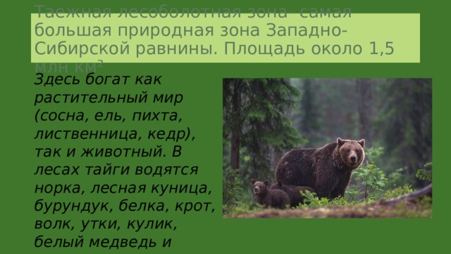 Природные зоны западно сибирской равнины 8 класс презентация