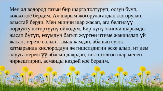 Мен ал водород газын бир шарга толтуруп, оозун бууп, көккө коё бердим. Ал шарым жогорулагандан жогорулап, алыстай берди. Мен экинчи шар жасап, ага белгилүү оордукту көтөртүүнү ойлодум. Бир күнү экинчи шарымды жасап бүтүп, өзүмдүн багып жүргөн итиме жакшылап үй жасап, терезе салып, тамак камдап, абанын суюк катмарында кислороддун жетишсиздигин эске алып, ит дем алууга керектүү абасын даярдап, газга толгон шар менен чиркештирип, асманды көздөй коё бердим. 
