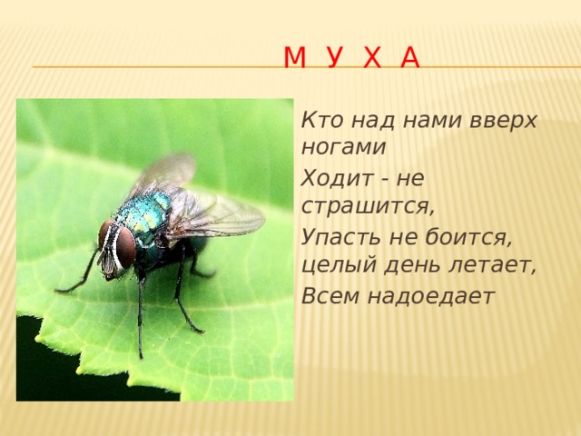 Салам всем кто ходит с нами под одним солнцем минус