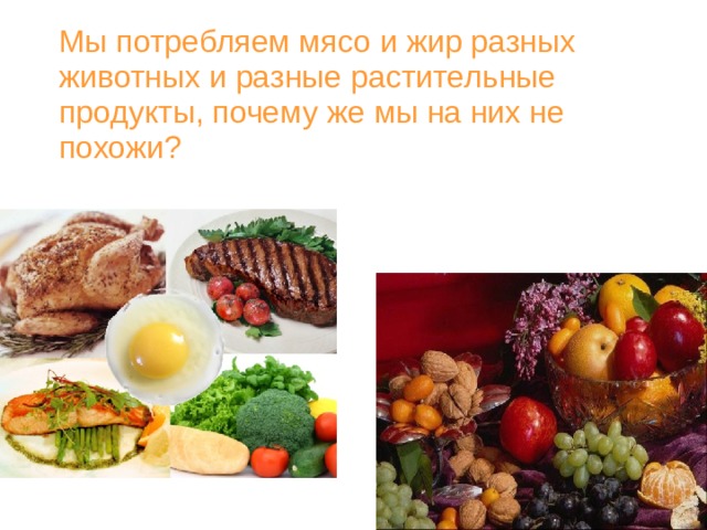 Пищевые продукты одежда мебель и т д виды благ