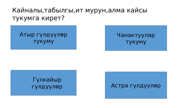 Кайналы,табылгы,ит мурун,алма кайсы тукумга кирет? Атыр г үлдүүлѳр тукуму Чанактуулар тукуму Г үлкайыр гүлдүүлөр Астра г үлдүүлѳр 