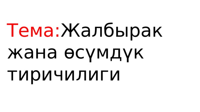 Тема: Жалбырак жана өсүмдүк тиричилиги 