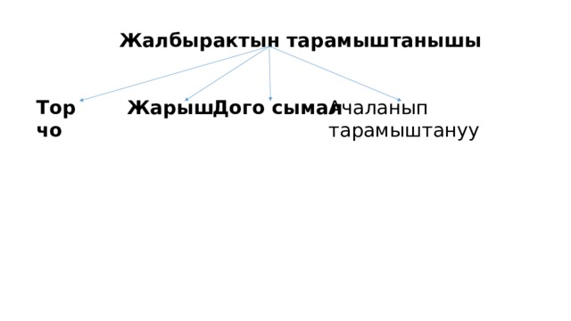 Жалбырактын тарамыштанышы Торчо Жарыш Дого сымал Ачаланып тарамыштануу 