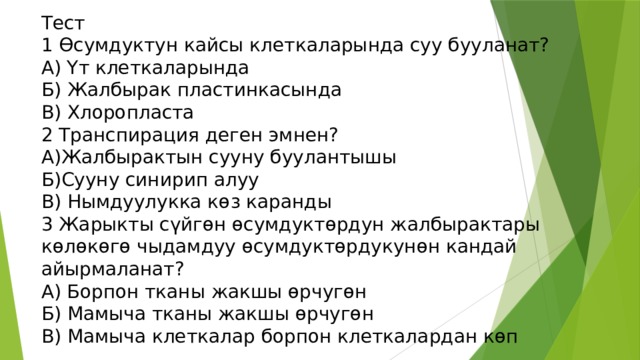 Тест 1 Ѳсумдуктун кайсы клеткаларында суу бууланат? А) Үт клеткаларында Б ) Жалбырак пластинкасында В) Хлоропласта 2 Транспирация деген эмнен? А)Жалбырактын сууну буулантышы Б)Сууну синирип алуу В) Нымдуулукка көз каранды 3 Жарыкты сүйгөн өсумдуктөрдун жалбырактары көлөкөгө чыдамдуу өсумдуктөрдукунөн кандай айырмаланат? А) Борпон тканы жакшы өрчугөн Б) Мамыча тканы жакшы өрчугөн В) Мамыча клеткалар борпон клеткалардан көп 