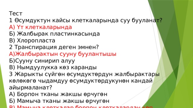 Тест 1 Ѳсумдуктун кайсы клеткаларында суу бууланат? А) Үт клеткаларында Б ) Жалбырак пластинкасында В) Хлоропласта 2 Транспирация деген эмнен? А)Жалбырактын сууну буулантышы Б)Сууну синирип алуу В) Нымдуулукка көз каранды 3 Жарыкты сүйгөн өсумдуктөрдун жалбырактары көлөкөгө чыдамдуу өсумдуктөрдукунөн кандай айырмаланат? А) Борпон тканы жакшы өрчугөн Б) Мамыча тканы жакшы өрчугөн В) Мамыча клеткалар борпон клеткалардан көп 