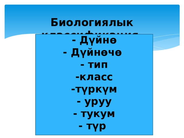 Биологиялык классификация        - Дүйнө  - Дүйнөчө  - тип  -класс  -түркүм  - уруу  - тукум  - түр   