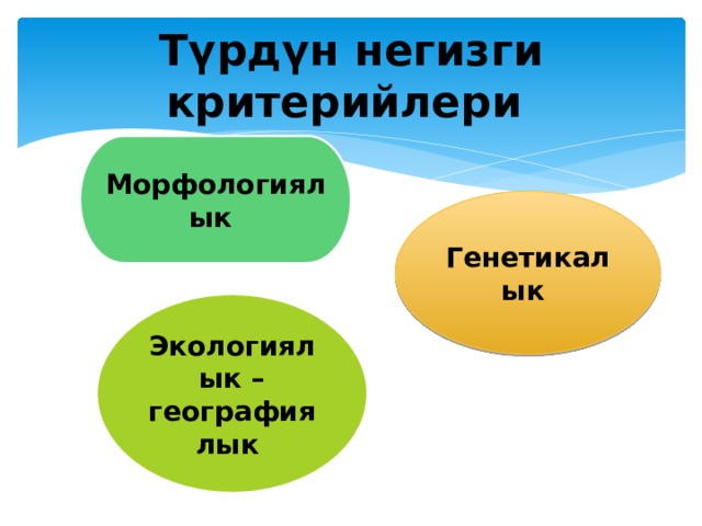 Түрдүн негизги критерийлери Морфологиялык Генетикалык Экологиялык – географиялык 