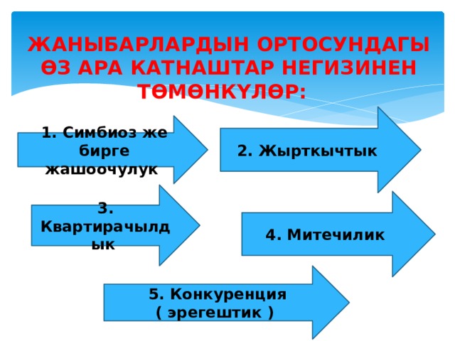 Жаныбарлардын ортосундагы өз ара катнаштар негизинен төмөнкүлөр: 2. Жырткычтык 1. Симбиоз же бирге жашоочулук 3. Квартирачылдык 4. Митечилик 5. Конкуренция ( эрегештик ) 