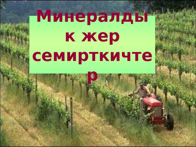 Минералдык жер семирткичтер 