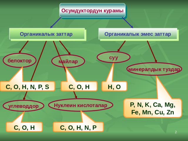 Осумдуктордун курамы Органикалык заттар  Органикалык эмес заттар суу белоктор майлар минералдык туздар H, O C, O, H C, O, H, N, P, S P, N, K, Ca, Mg, Fe, Mn, Cu, Zn Нуклеин кислоталар углеводдор C, O, H C, O, H, N, P  