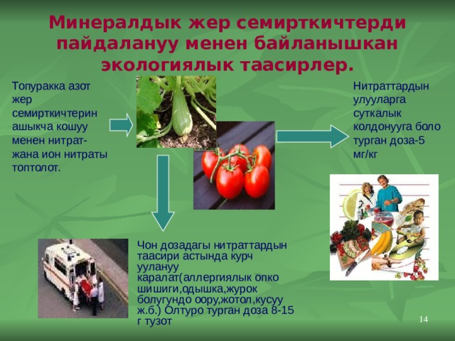 Минералдык жер семирткичтерди пайдалануу менен байланышкан экологиялык таасирлер. Нитраттардын улууларга суткалык колдонууга боло турган доза-5 мг/кг Топуракка азот жер семирткичтерин ашыкча кошуу менен нитрат-жана ион нитраты топтолот. Чон дозадагы нитраттардын таасири астында курч уулануу каралат(аллергиялык опко шишиги,одышка,журок болугундо оору,жотол,кусуу ж.б.) Олтуро турган доза 8-15 г тузот 11 