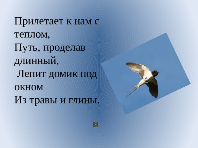 Жаворонки Жавороночки прилетите к нам принесите.