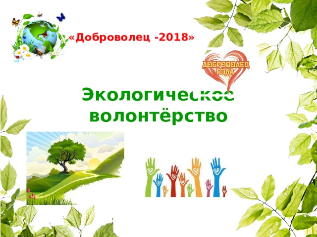   «Доброволец -2018»  Экологическое волонтёрство 