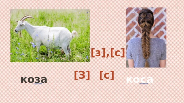 [з],[с] [З] [c] коза коса 