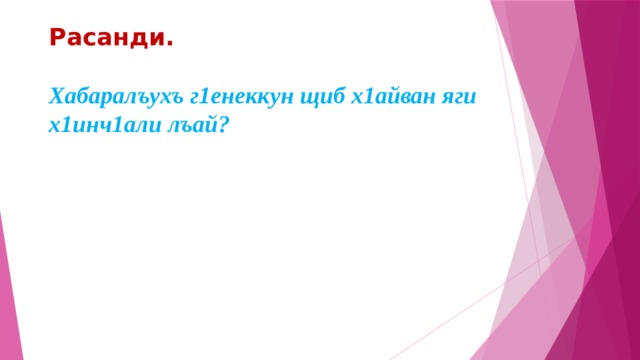 Расанди.   Хабаралъухъ г1енеккун щиб х1айван яги х1инч1али лъай? 