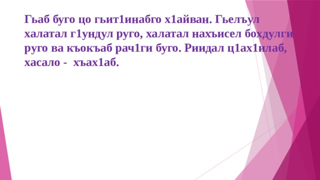 Гьаб буго цо гьит1инабго х1айван. Гьелъул халатал г1ундул руго, халатал нахъисел бохдулги руго ва къокъаб рач1ги буго. Риидал ц1ах1илаб, хасало - хъах1аб. 