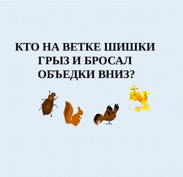 КТО НА ВЕТКЕ ШИШКИ ГРЫЗ И БРОСАЛ ОБЪЕДКИ ВНИЗ? 