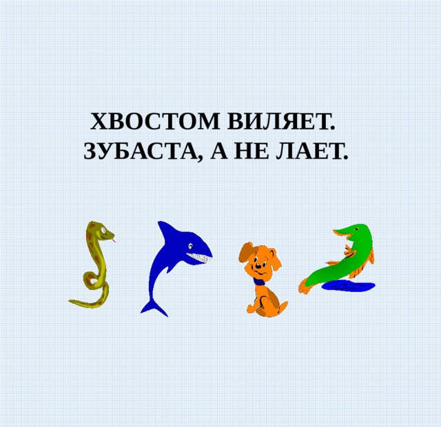 ХВОСТОМ ВИЛЯЕТ. ЗУБАСТА, А НЕ ЛАЕТ. 