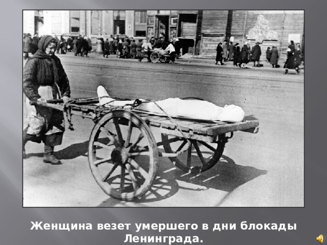 Женщина везет умершего в дни блокады Ленинграда. 