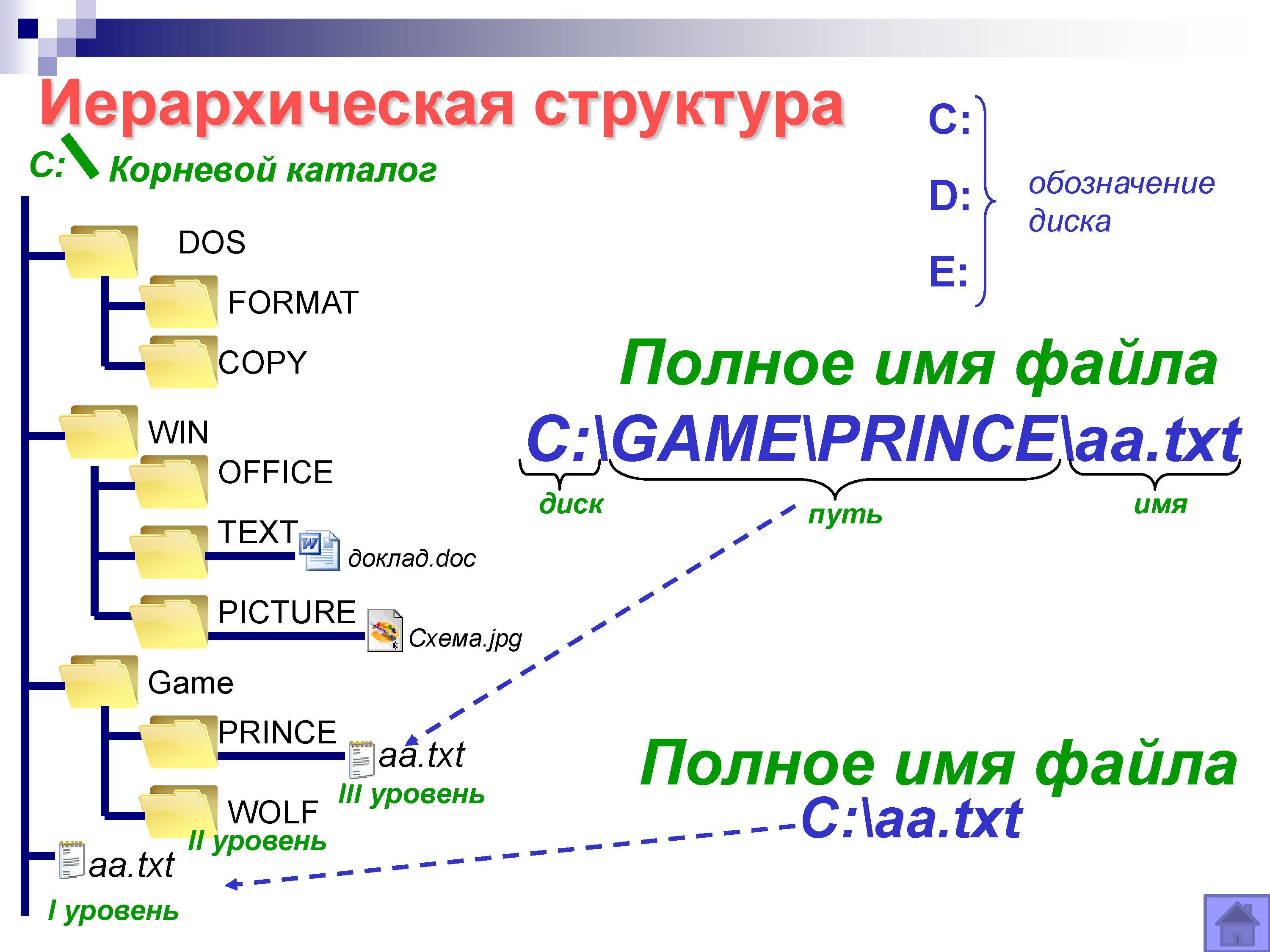 Файловая структура информации