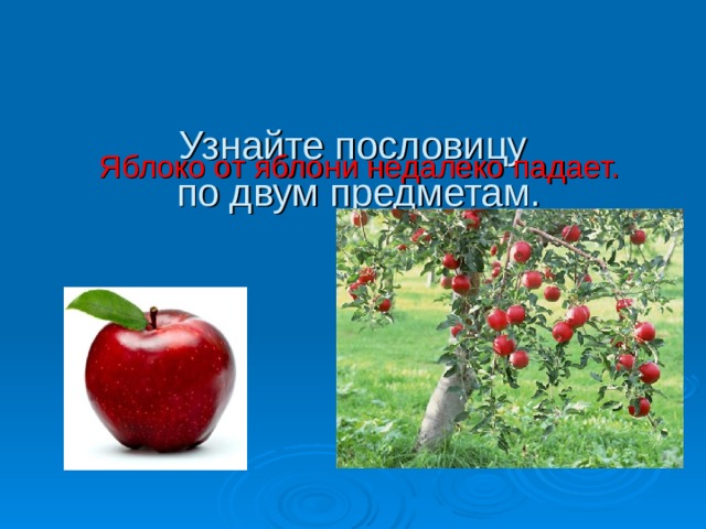 Значение пословицы яблоко от яблони недалеко