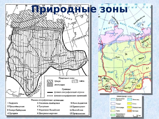 Средняя сибирь контурная карта. Природные зоны средней Сибири карта. Природные зоны Западно сибирской.