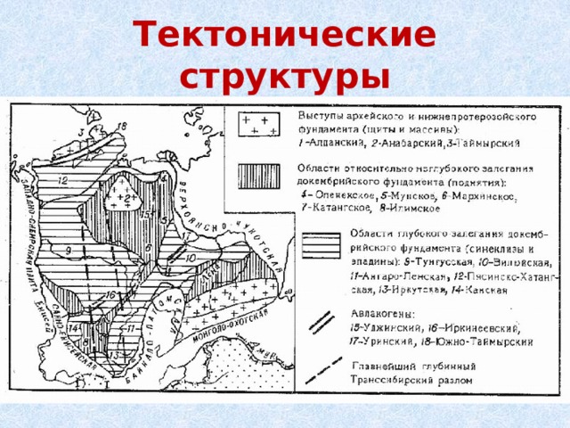 Средняя сибирь презентация