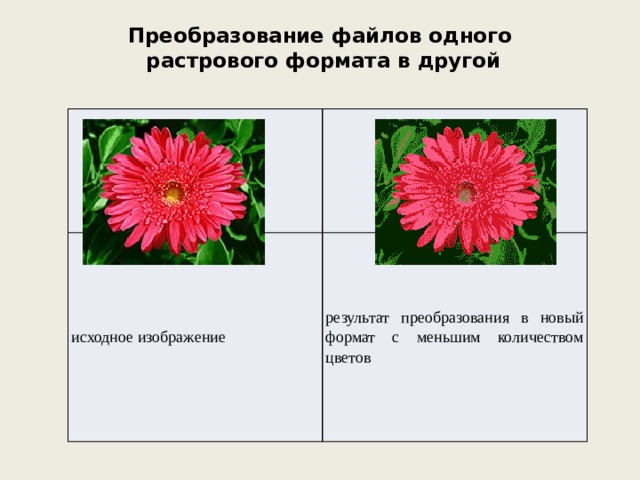 Преобразование файлов одного   растрового формата в другой   исходное изображение результат преобразования в новый формат с меньшим количеством цветов  