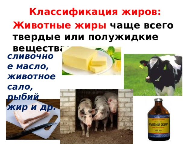 Презентация твердые жиры