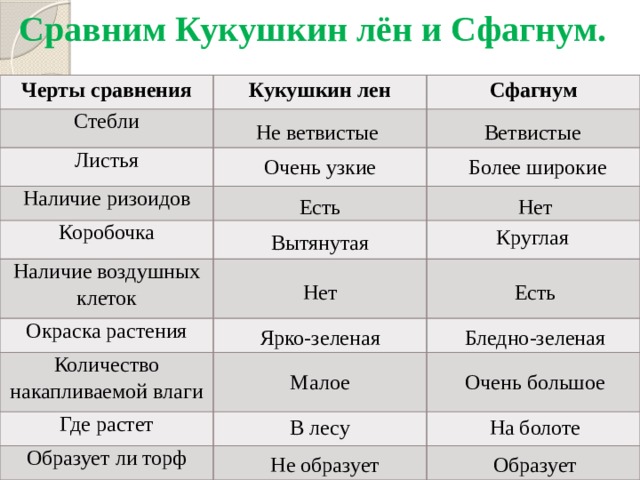 Сравним Кукушкин лён и Сфагнум. Черты сравнения Кукушкин лен Стебли Сфагнум Листья Наличие ризоидов Коробочка Наличие воздушных клеток Окраска растения Количество накапливаемой влаги Где растет Образует ли торф Не ветвистые Ветвистые Очень узкие  Более широкие Есть Нет Круглая Вытянутая Нет Есть Ярко-зеленая Бледно-зеленая Малое Очень большое В лесу На болоте Не образует Образует 