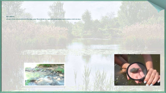         Цель работы:   изучить состав макрозообéнтоса бассейна реки Малая Буйвола и произвести предварительную оценку качества воды      3 