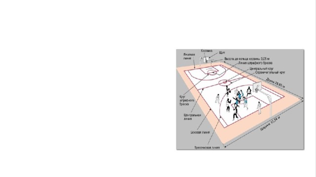 Правила игры Площадка для баскетбола имеет форму прямоугольника размерами 28 на 15 метров. Средняя линия делит площадку на две половины, в центре которой есть маленький круг, из этого места начинается игра (рефери подбрасывает мяч в воздух, а по одному игроку от каждой команды пытаются им завладеть). Высота кольца составляет 3.05 метров. Возле каждого из колец есть дуга (полукруг) радиусом 6.75 м. (по стандарту ФИБА), которая является проекцией центра корзины. На расстоянии 5.80 м. от внутреннего края лицевой линии находится линия штрафного броска, имеющая длину 3.60 м. Набор очков в баскетболе: 3-очка: если мяч попадает в кольцо из-за пределов дуги; 2 очка: если мяч заброшен в пределах дуги; 1 очко: за каждый успешный штрафной бросок засчитывается 1 бал. 