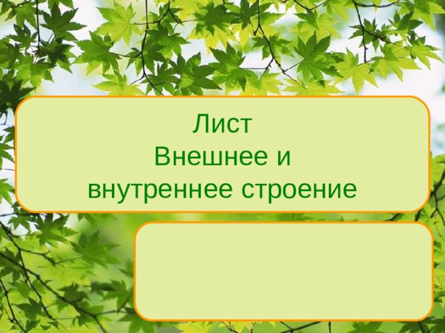 Проект презентация 5 класс биология Морфология листа - Биология - Презентации - ВУЗ