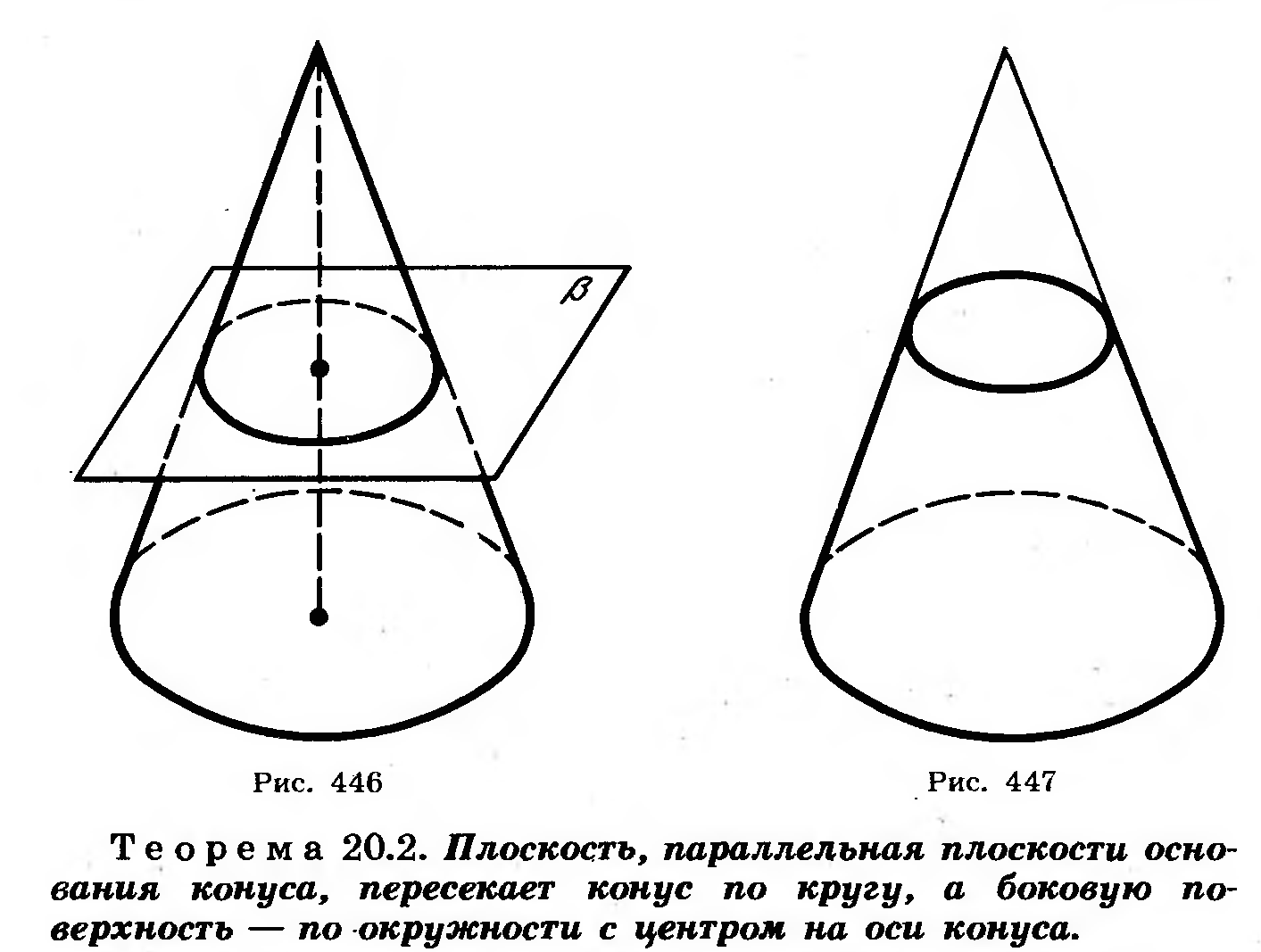 Перепендикулярное сечение конуса