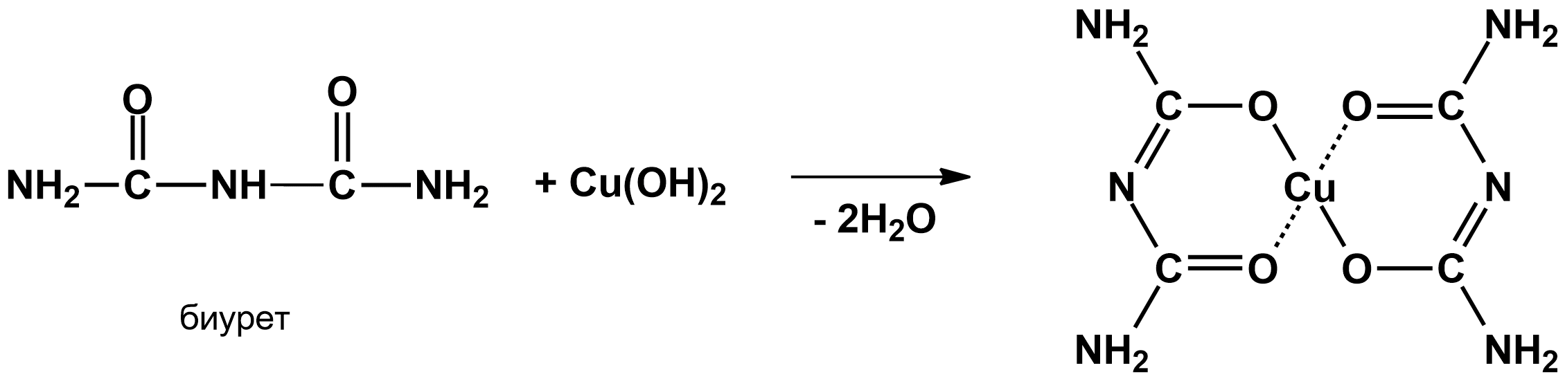 Напишите схему биуретовой реакции