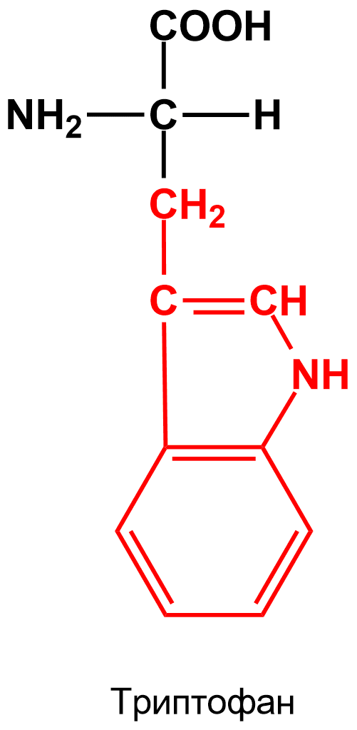 Реакция адамкевича. Триптофан формула аминокислоты. Триптофан структурная формула. Триптофан строение. Триптофан структура.