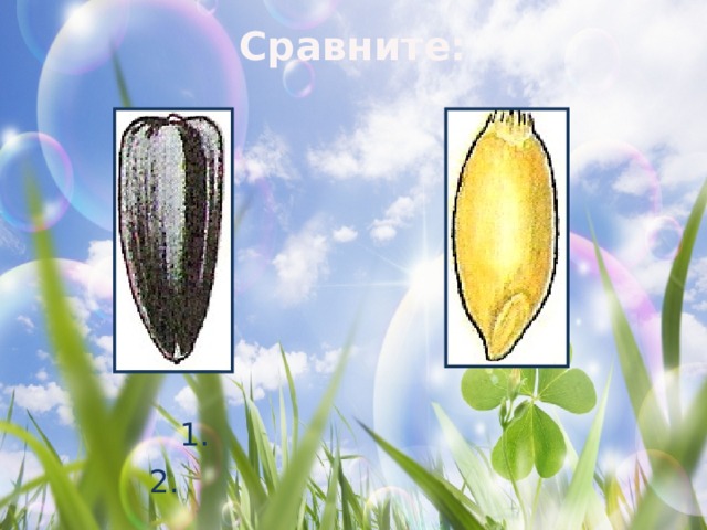 Сравните:  1. 2.  
