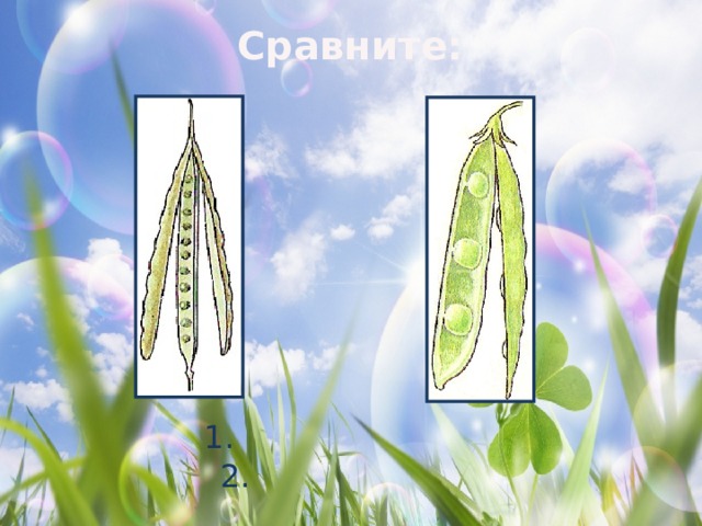 Сравните:  1. 2. 