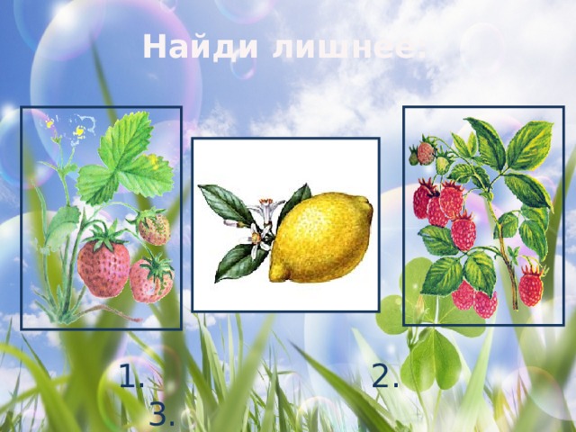 Найди лишнее:  1. 2. 3. 