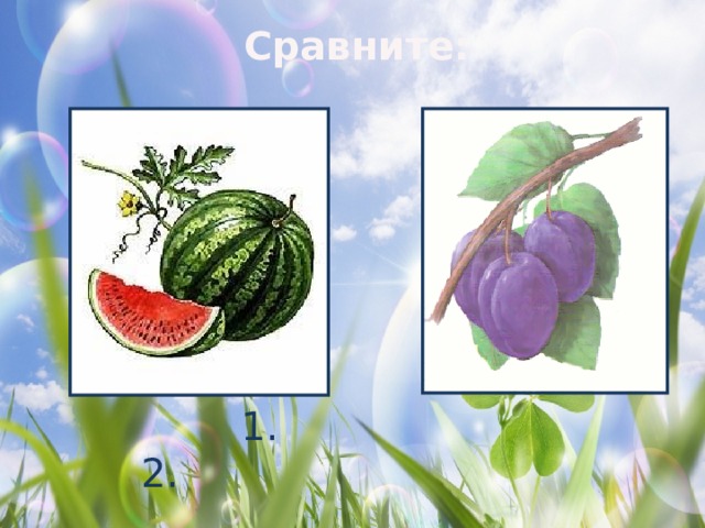 Сравните:  1. 2. 