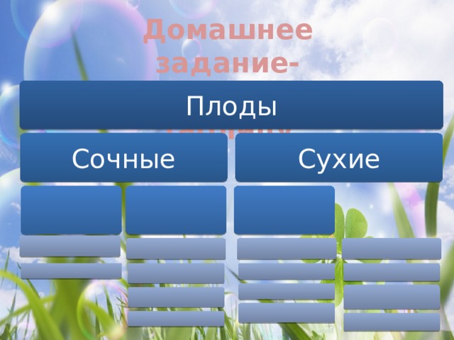 Домашнее задание- Заполните таблицу Плоды Сочные Сухие 