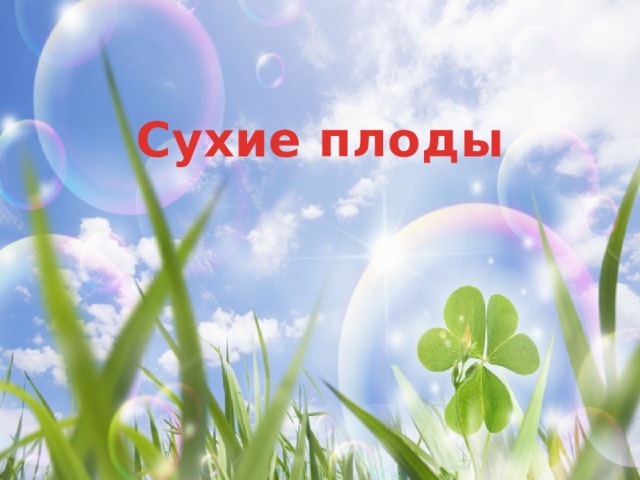 Сухие плоды 
