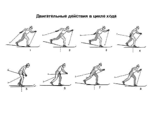 Виды двигательных действий. Двигательные действия примеры. Схемы физических двигательных действий. Схема овладения техникой двигательного действия. Пример техники двигательного действия.