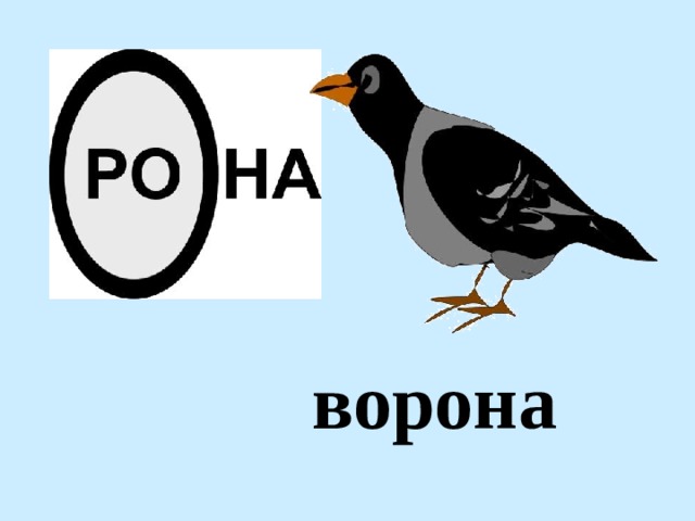 ворона 