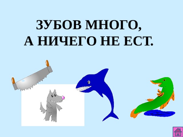 ЗУБОВ МНОГО, А НИЧЕГО НЕ ЕСТ. 