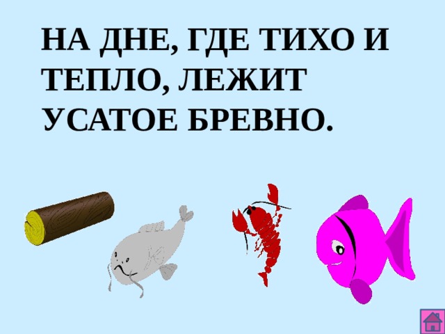 НА ДНЕ, ГДЕ ТИХО И ТЕПЛО, ЛЕЖИТ УСАТОЕ БРЕВНО.  