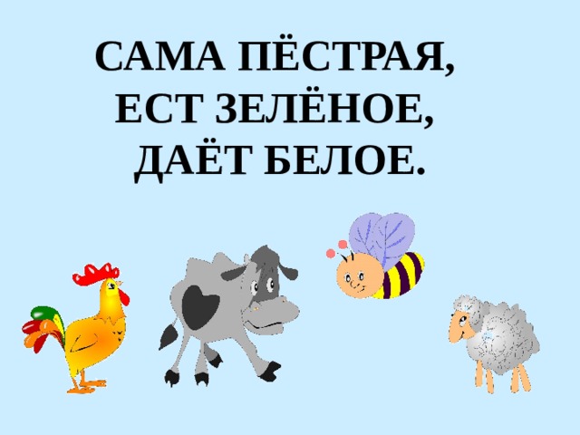 САМА ПЁСТРАЯ, ЕСТ ЗЕЛЁНОЕ, ДАЁТ БЕЛОЕ. 