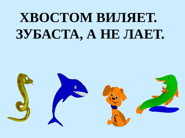 ХВОСТОМ ВИЛЯЕТ. ЗУБАСТА, А НЕ ЛАЕТ. 